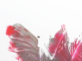 Voorbeeld schilderij